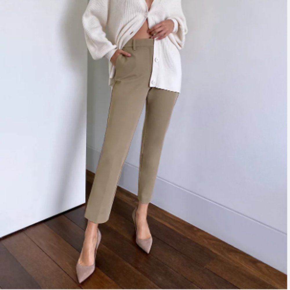 Aritzia Babaton Duke Pant | Taupe Trousers